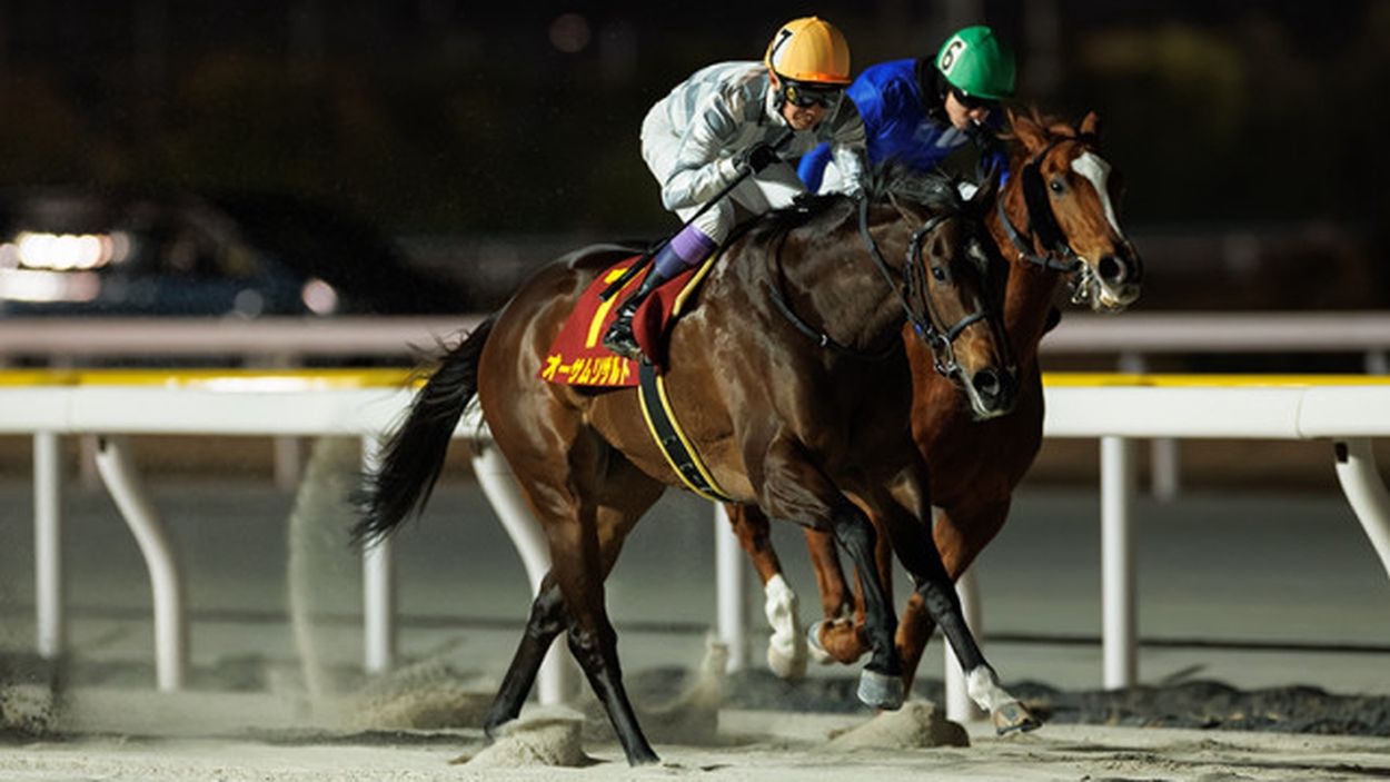 クイーン賞回顧】オーサムリザルトが無傷の8連勝を飾る 武豊騎手