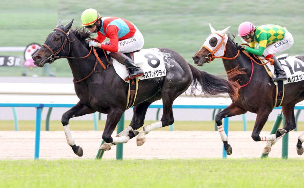 マイルＣＳ当日の京都競馬場の芝の状態についてルメール騎手「悪いです…」 ブレイディヴェーグの内枠については…