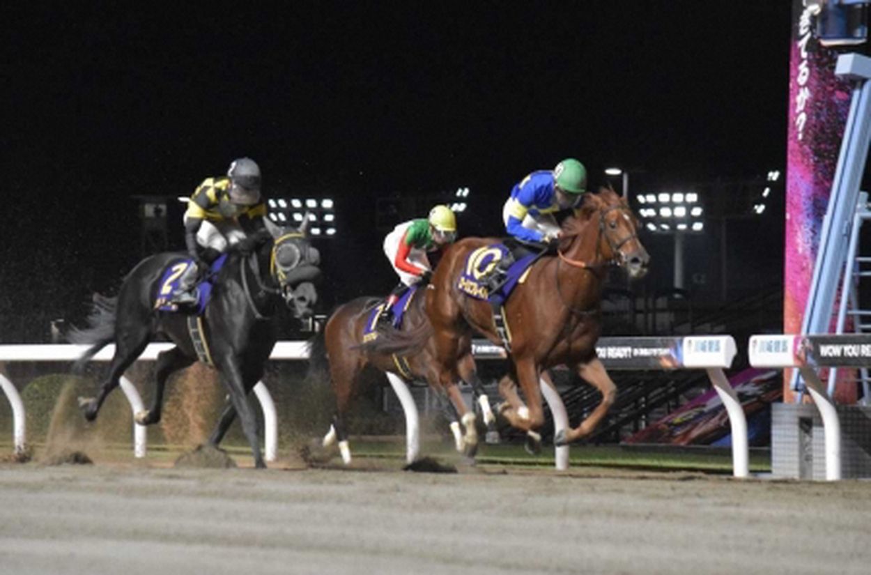 【川崎競馬 ロジータ記念】伏兵ローリエフレイバーが重賞2勝目 ポルラノーチェとの一騎打ち制す