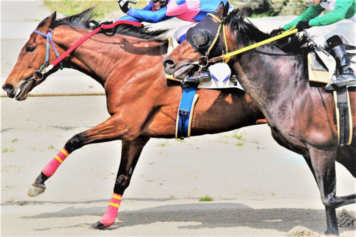 【競馬】はオジサンのイメージ？…なんと20代女性の4人に1人「興味アリ」 楽しむ理由も《意外》すぎた