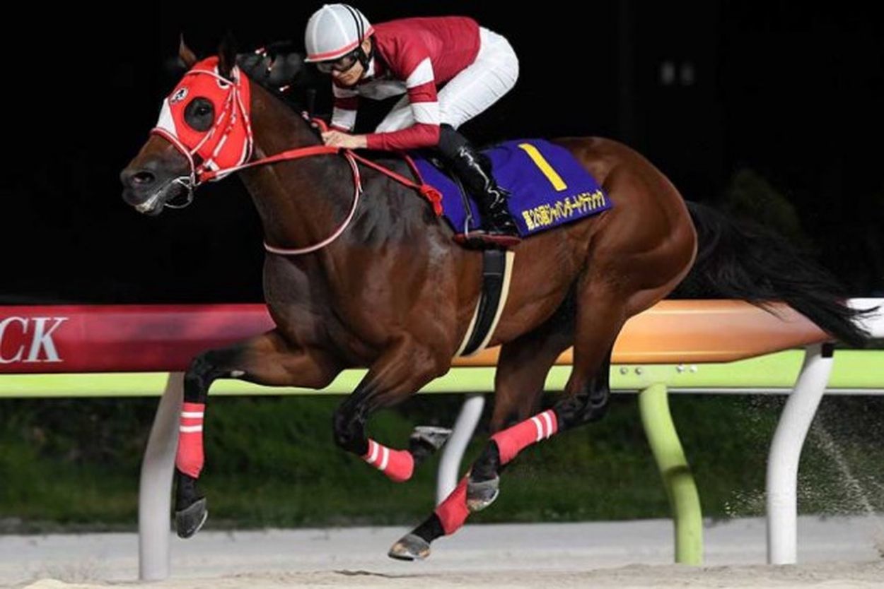 競馬場に現れた超大物俳優の「ビジュが完璧」 爽やか笑顔の黒スーツ姿で「空気浄化されてそう」