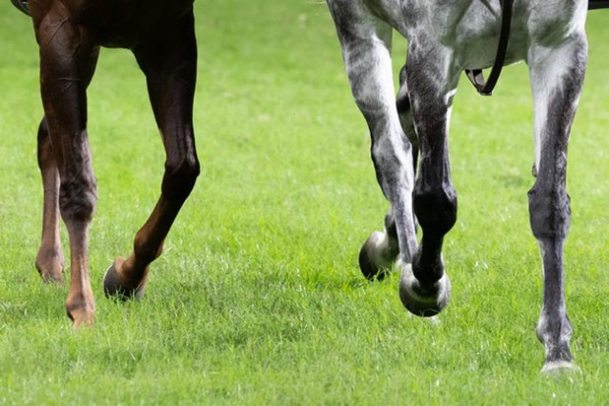 競馬レース中に珍事「これは実況のナイスプレー」 たった2頭で1分32秒繋いだ「プロの技術」に絶賛の嵐