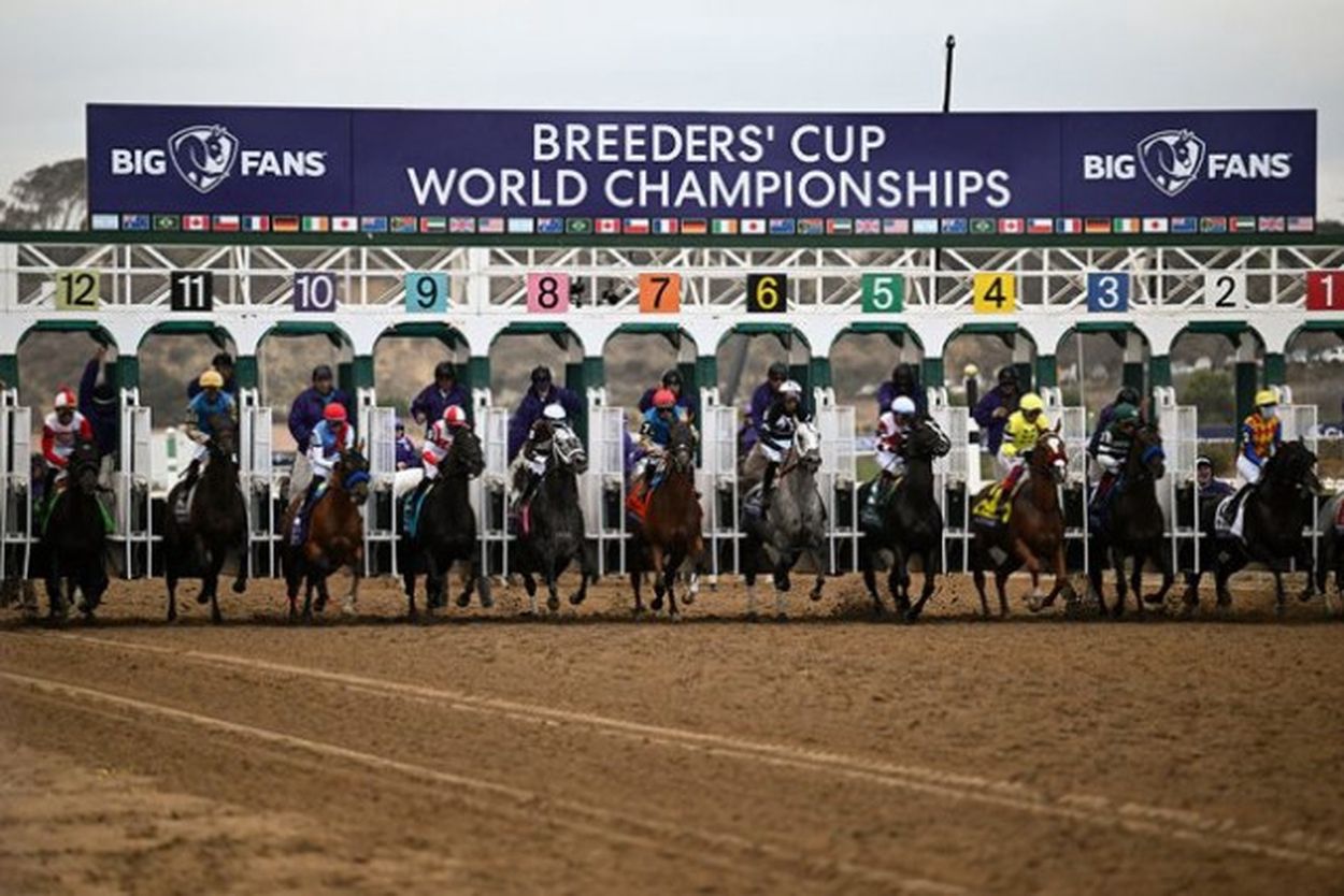 米競馬場で発見された日本の有名企業にX驚き 看板がズラリ並び「マジである！」「馬のゼッケンに…」