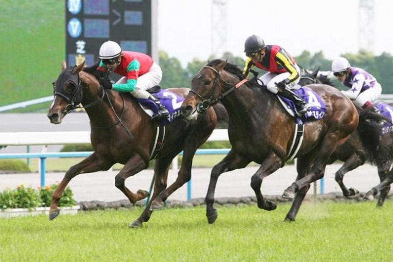 へデントール他 天皇賞・春 現地単勝馬券セット｜Yahoo!フリマ