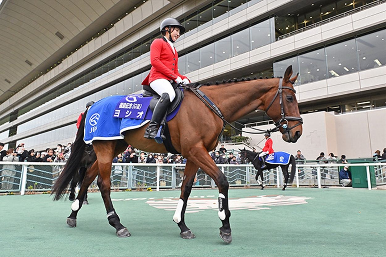 福島の誘導馬ヨシオが11歳で死す 21年アイドルホースオーディションの1位(netkeiba) - goo ニュース