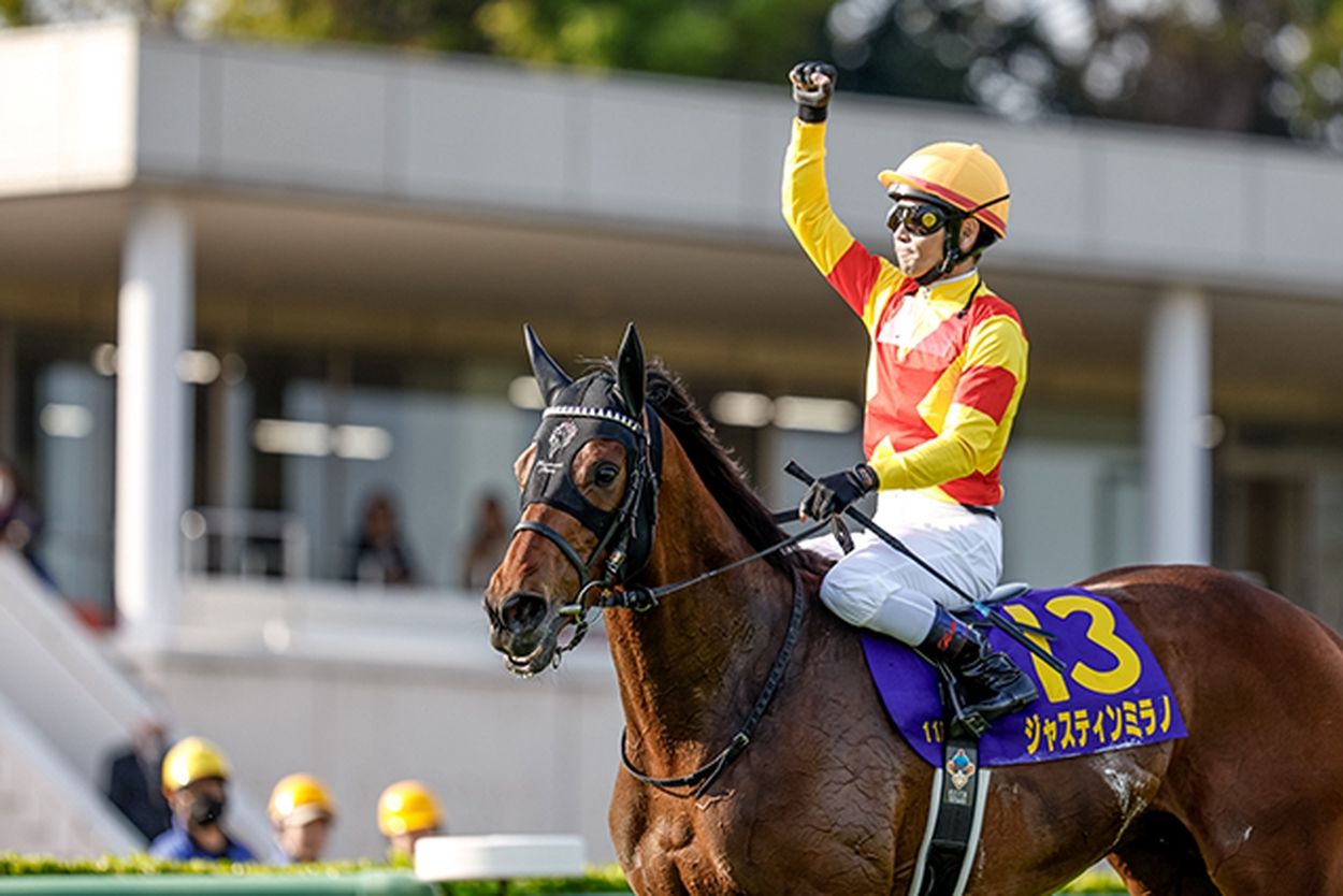 ジャスティンミラノ 全戦現地単勝馬券セット（新馬～日本