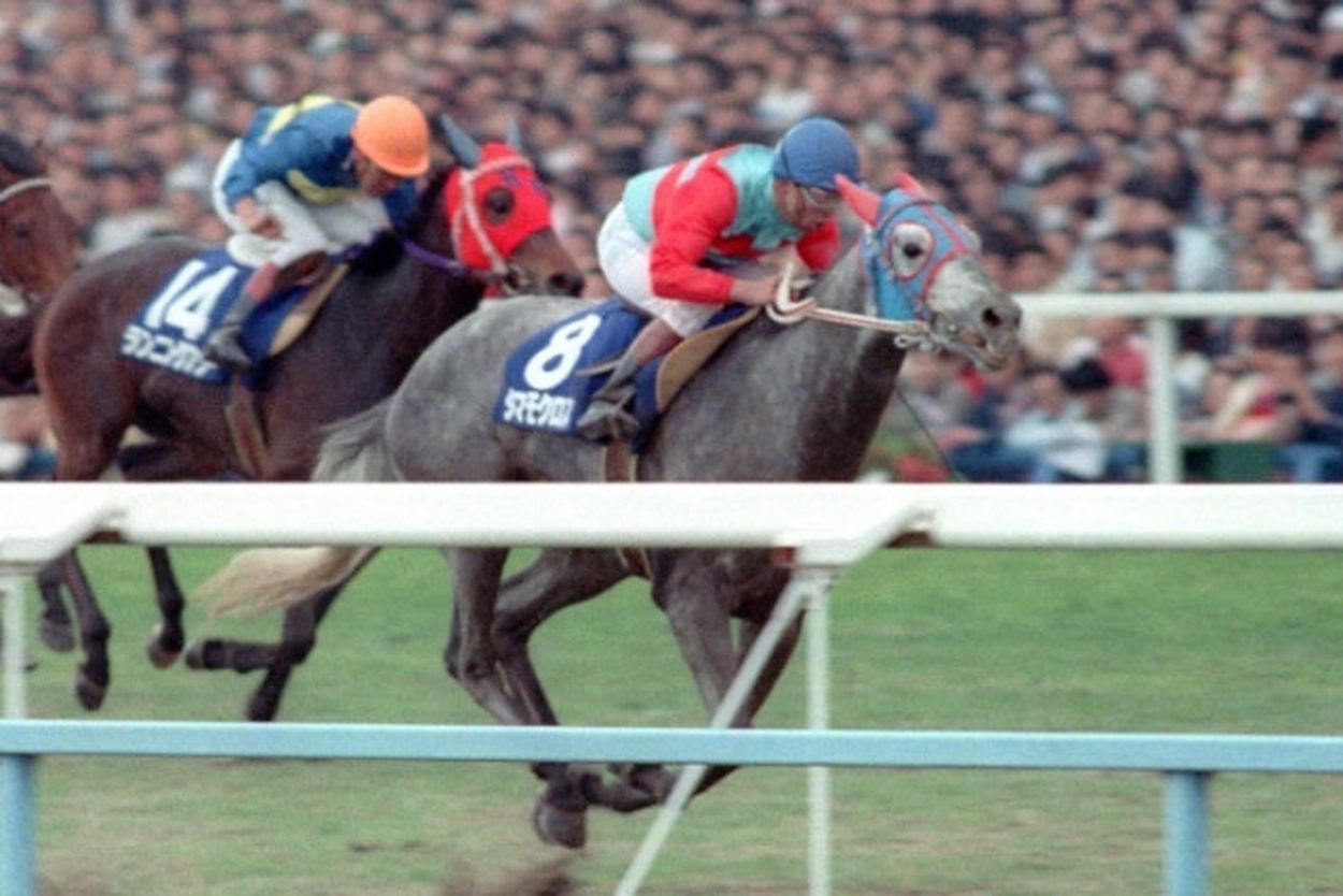 稲妻２世芦毛タマモクロス写真パネル（１９８８年１２月２５日中山有馬
