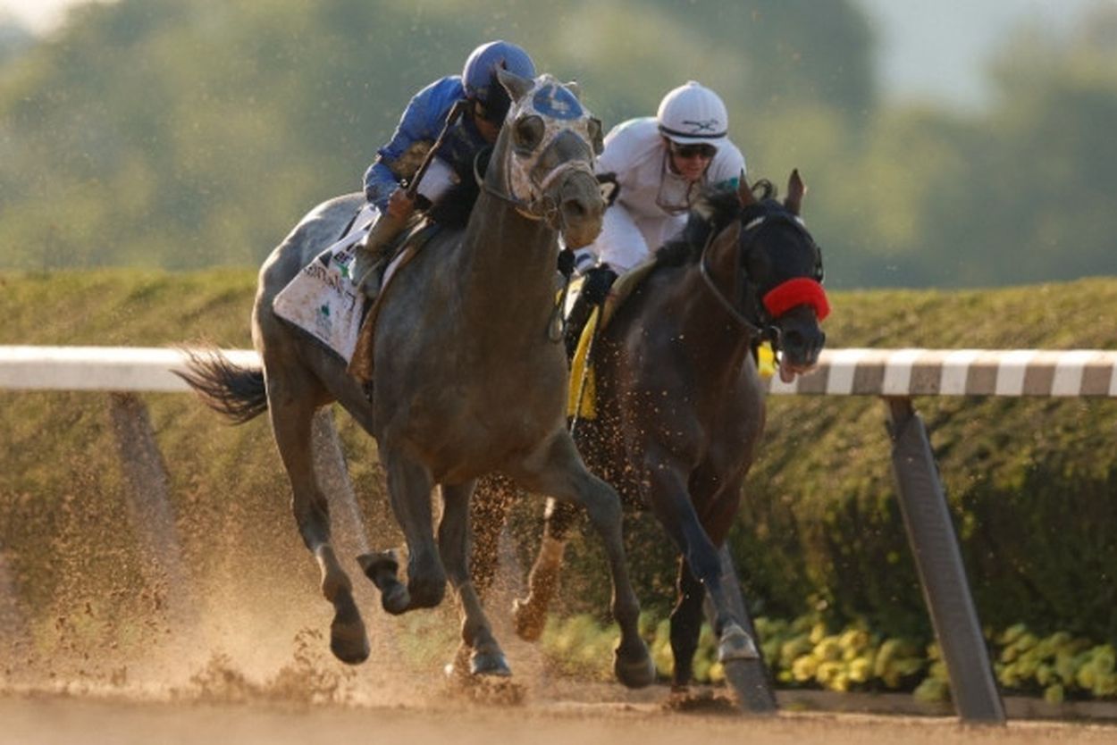 「大変稀にみる…」大井競馬３Rで、まさかの珍事！５頭→２頭立てに実況アナ動揺隠せず。“一騎打ち”にファン笑撃「馬連と馬単いる？」