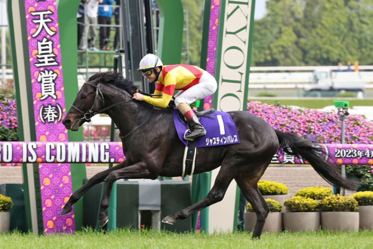 一口馬主限定 イクイノックス 有馬記念 競馬 - キャラクターグッズ