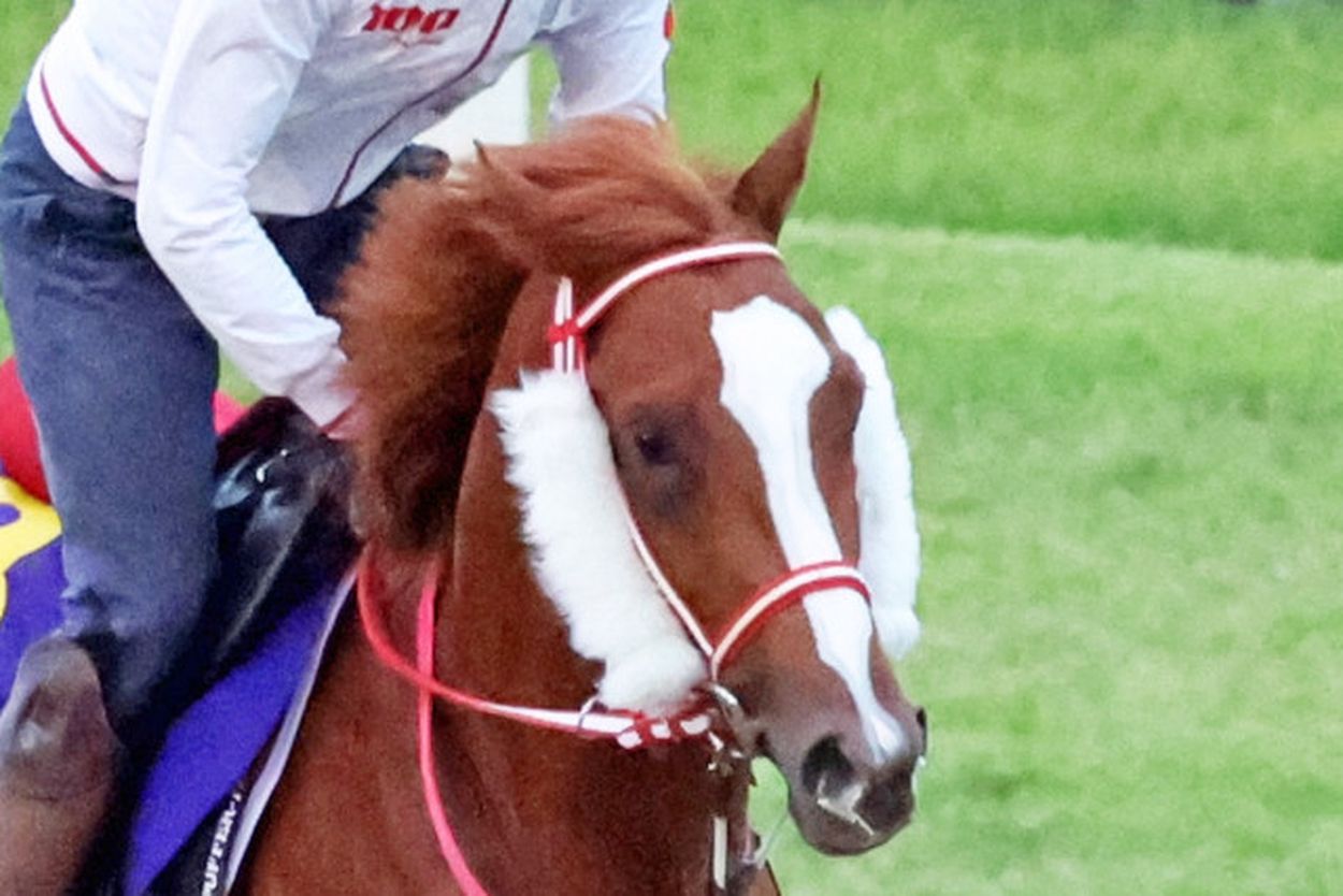 【日本ダービー・厩舎直送】シンエンペラーが史上初の外国産馬Ｖへ 「近走のなかでは一番いい状態」