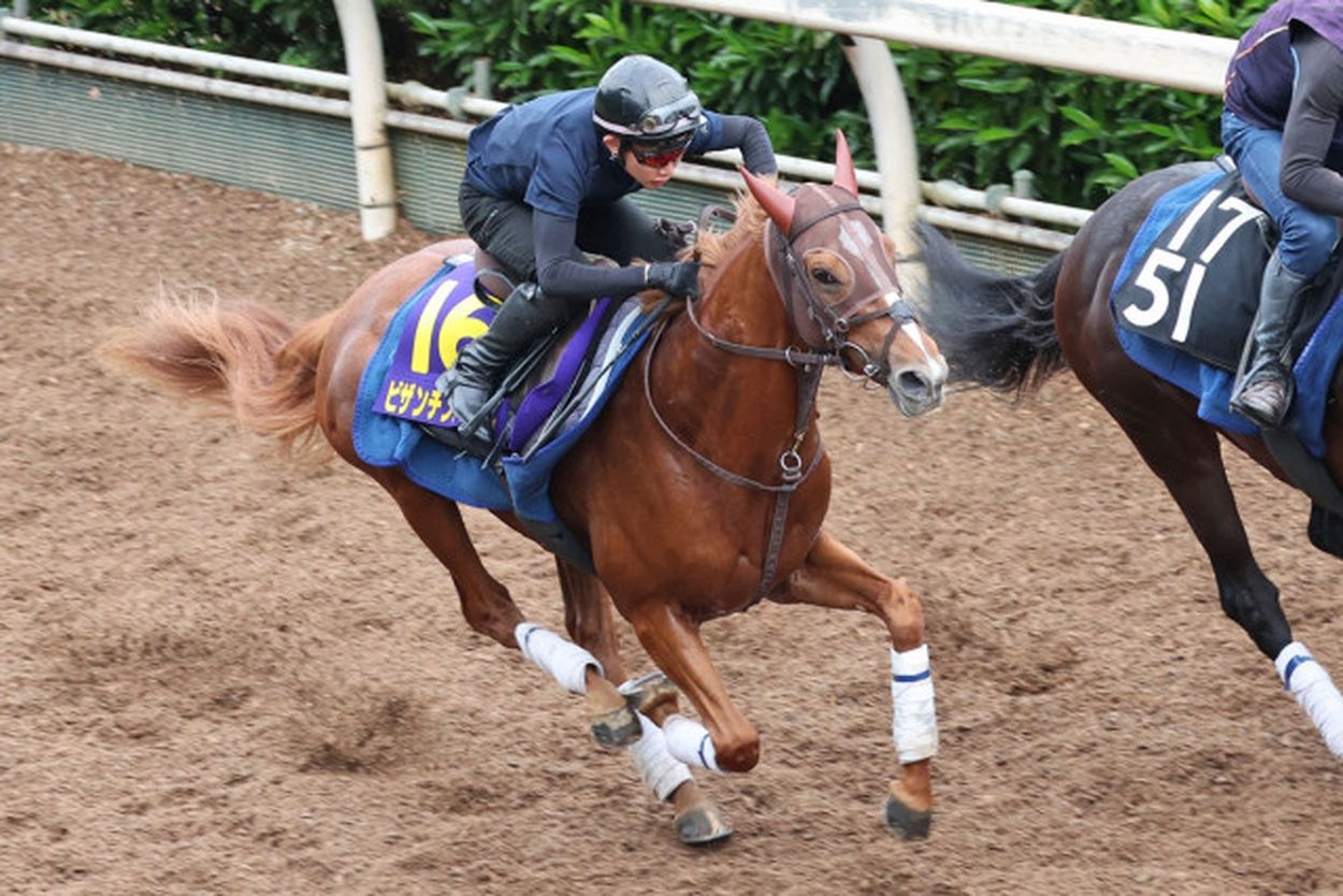 【日本ダービー・先手必勝】舞台替わりは大歓迎！ ビザンチンドリーム夢馬券への〝全貌〟解説