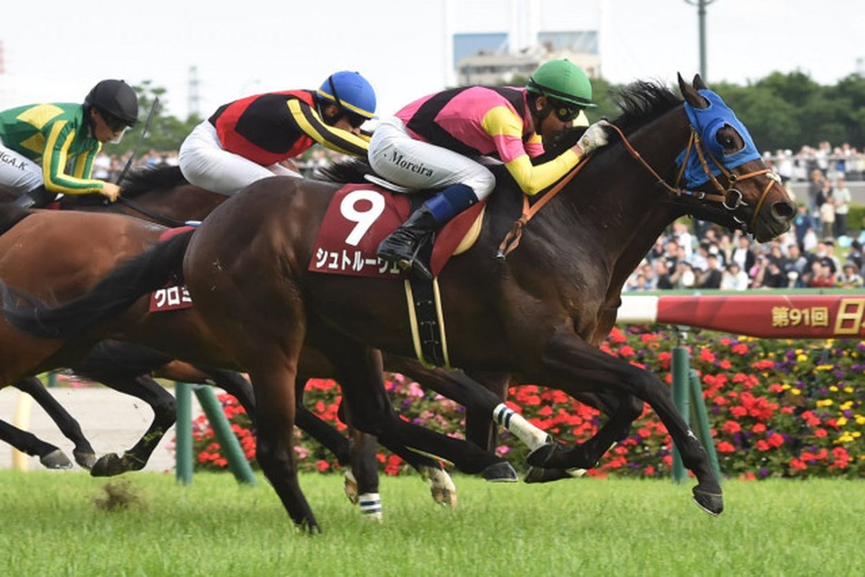 【目黒記念】去勢後に激変！シュトルーヴェ一気の３連勝 モレイラ「さらにステップアップできる雰囲気」