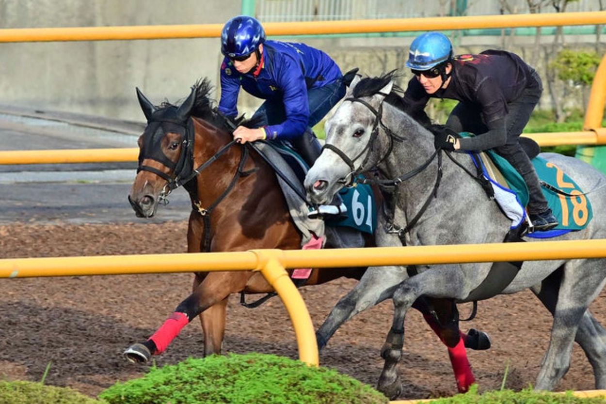 函館2歳s 調教 時計 コレクション