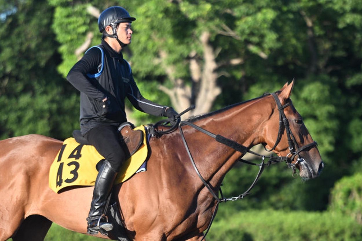 【小倉記念・トレセン発】競馬格言も後押し！〝隠れた夏馬〟が展開と勢いを味方に一発を狙う