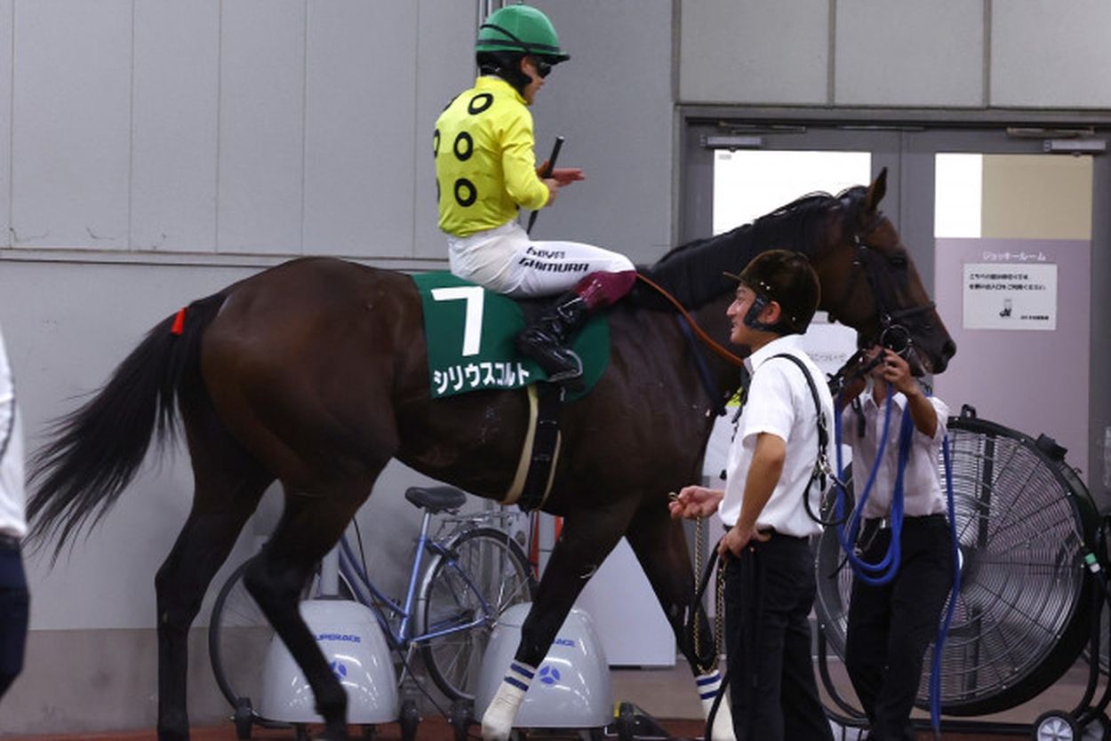 【小倉記念】古馬の壁か ３歳シリウスコルトは見せ場なく９着 西村淳「これからパワーアップしてくれれば」