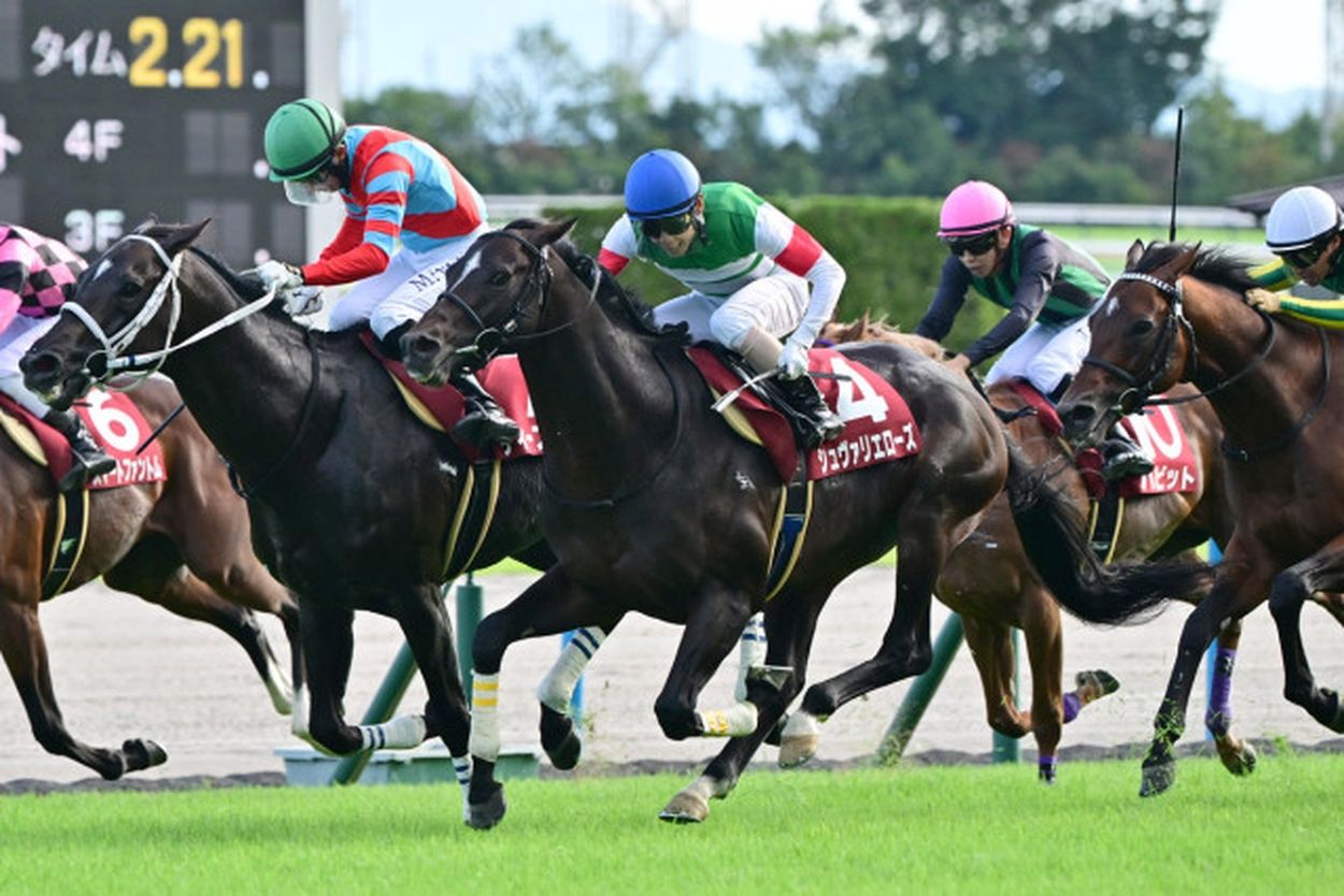 【京都大賞典結果＆コメント】シュヴァリエローズ重賞初Ｖ 北村友一「接戦でしたが出てくれてよかった」(東スポ競馬) - goo ニュース