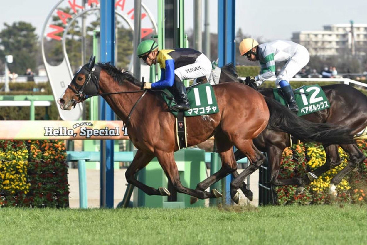京王杯SC】スピードだけでは押し切れない！過去の好走馬が持つ