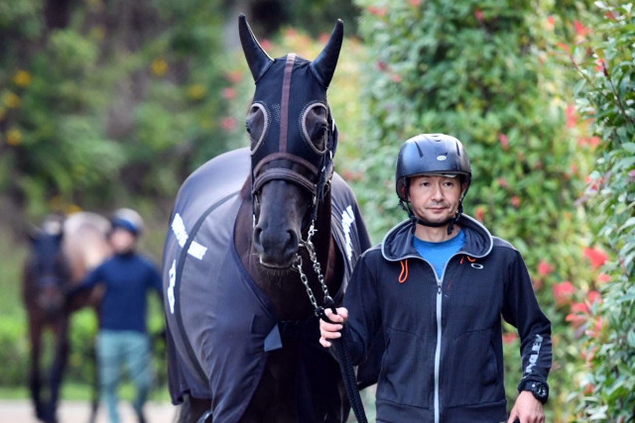 競馬「ここ」に騙されるな!: 飛ぶ人気馬の謎来る穴馬の秘密 | 橋