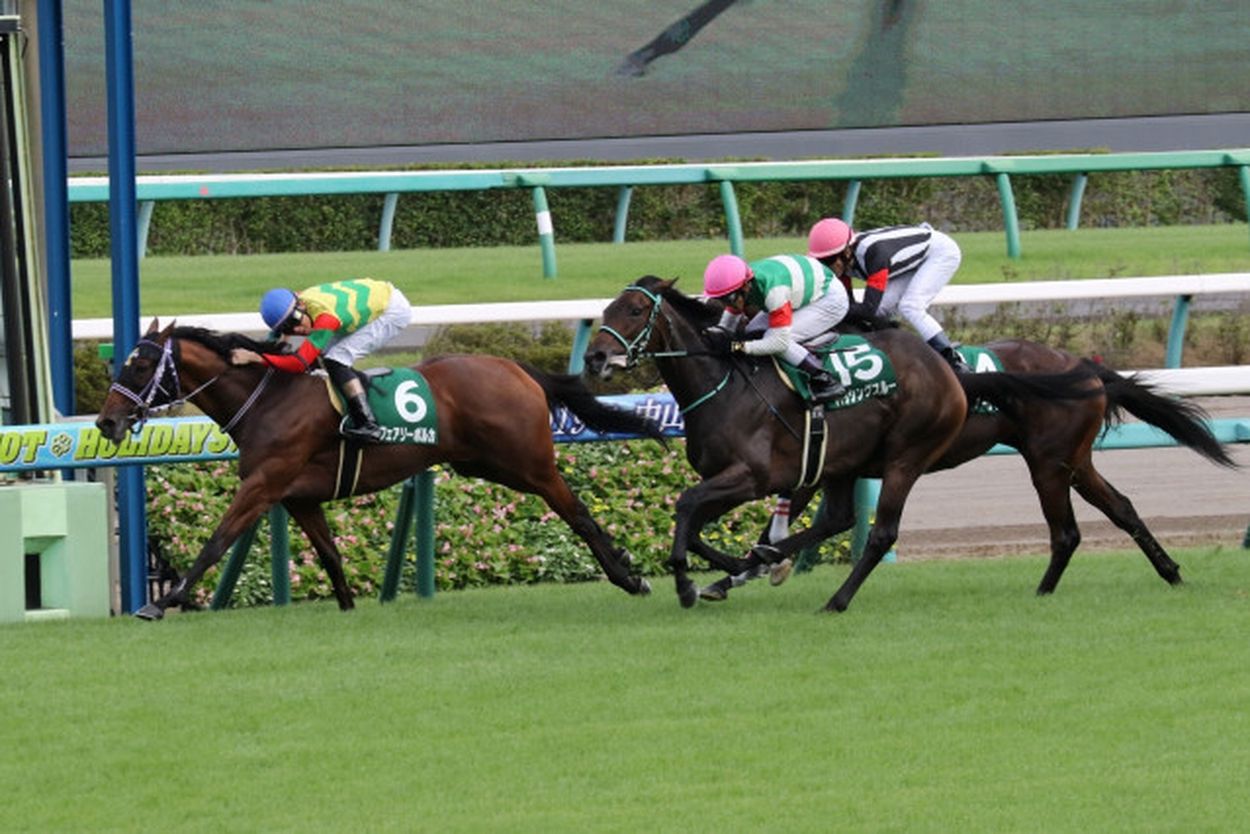 イクイノックス メイクデビュー新潟 ショップ 2歳新馬戦 2021年8月28日 新潟現地馬券