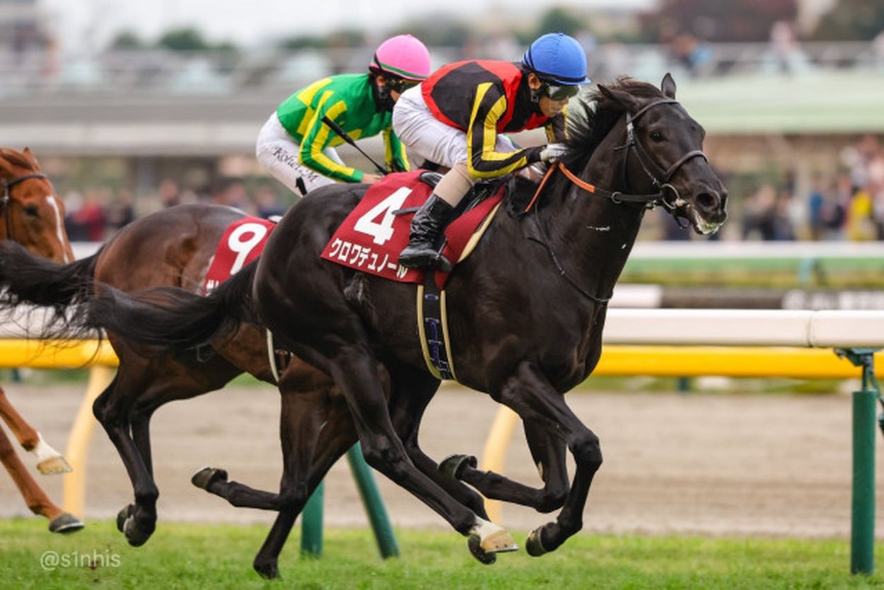 一口馬主］トップを目指せ！ 2歳世代、今週の勝ち上がり馬たち 2024/11/16,17(ウマフリ) - goo ニュース