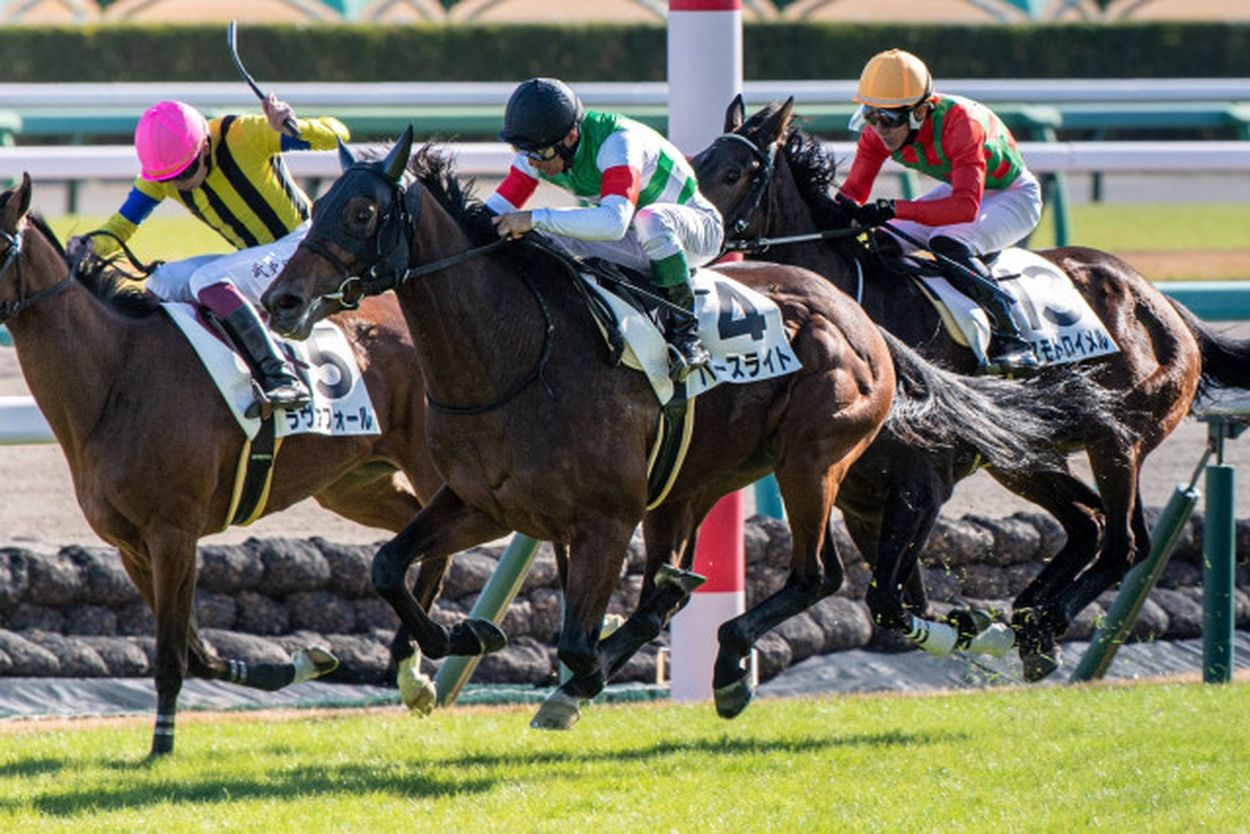 一口馬主］トップを目指せ！ 2歳世代、今週の勝ち上がり馬たち 2024/12/7,8(ウマフリ) - goo ニュース