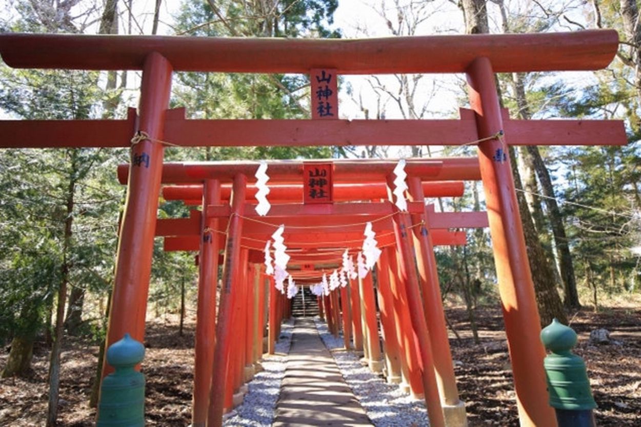 【千葉・石川・山梨】今年の初詣は日本三大金運神社に行こう