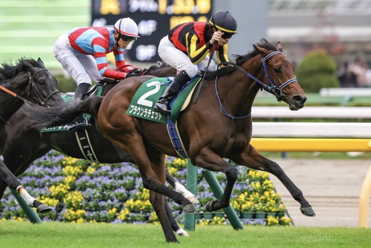 一口馬主］トップを目指せ！ 2歳世代、今週の勝ち上がり馬たち 2024/10/26,27(ウマフリ) - goo ニュース