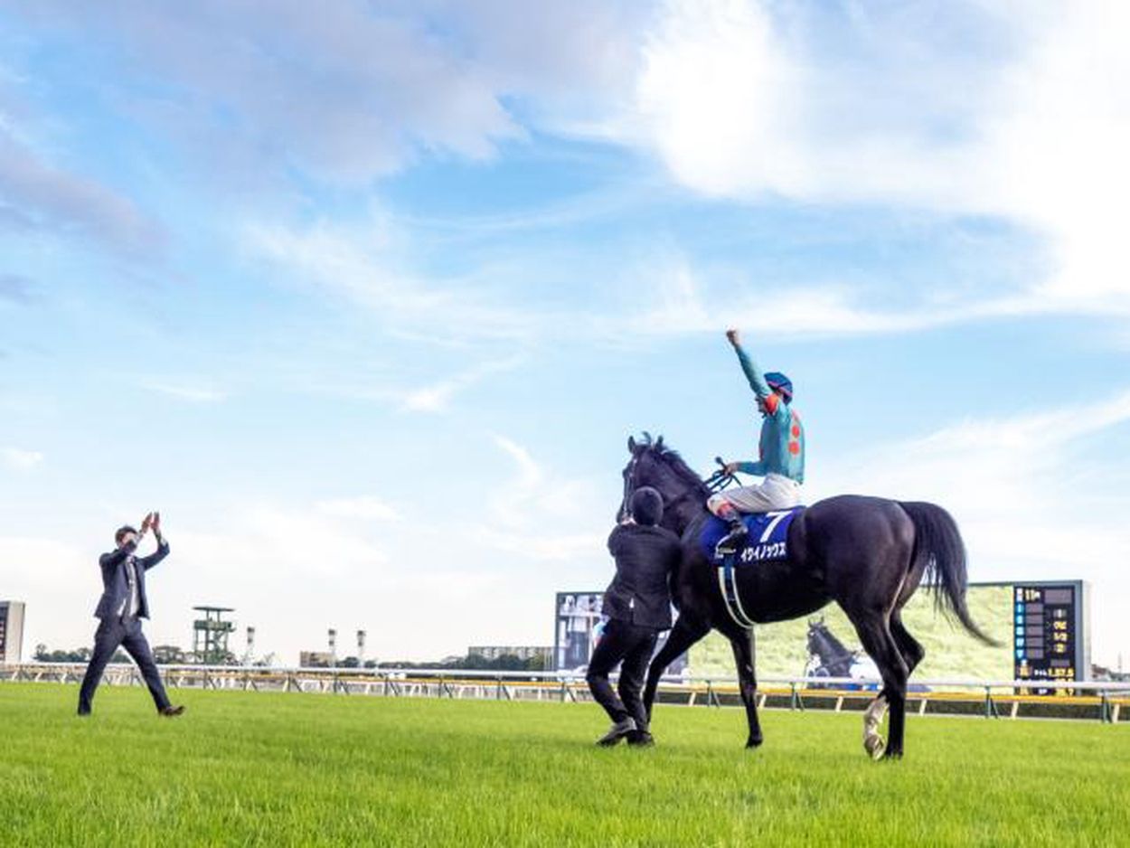 天皇賞(秋) ジャパンカップ 有馬記念 指定席特典 - その他