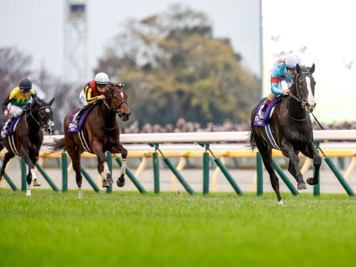 單線競馬の曲芸宇宙ゴマ (ブリキと金属製)未使用品ですが経年保管品