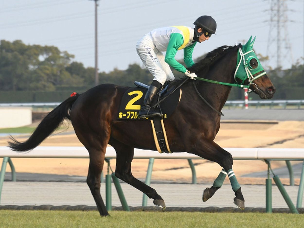 【阪急杯】原優介騎手がJRA重賞初制覇へ 伏兵ホープフルサインで