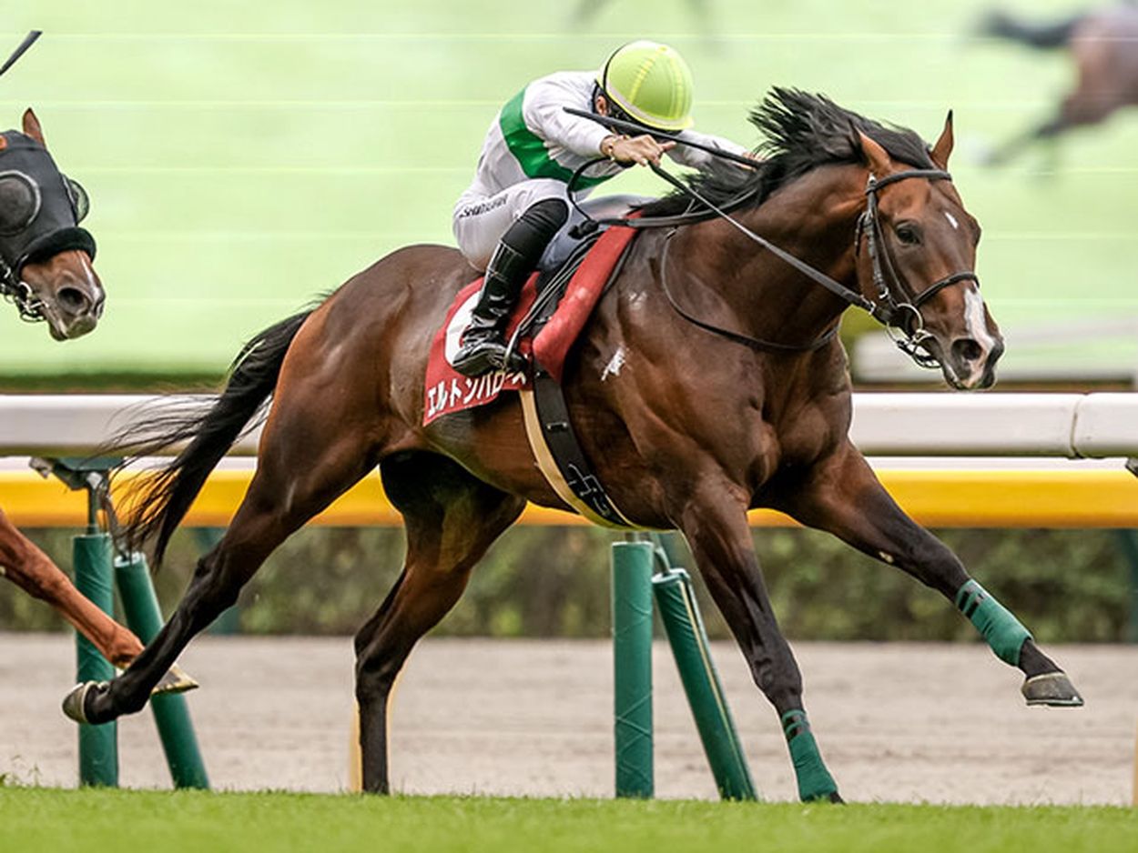 【中京記念予想】前走の競馬場や4角での位置取りが好走の鍵！ 重賞2勝の実力馬が該当した消しデータとは