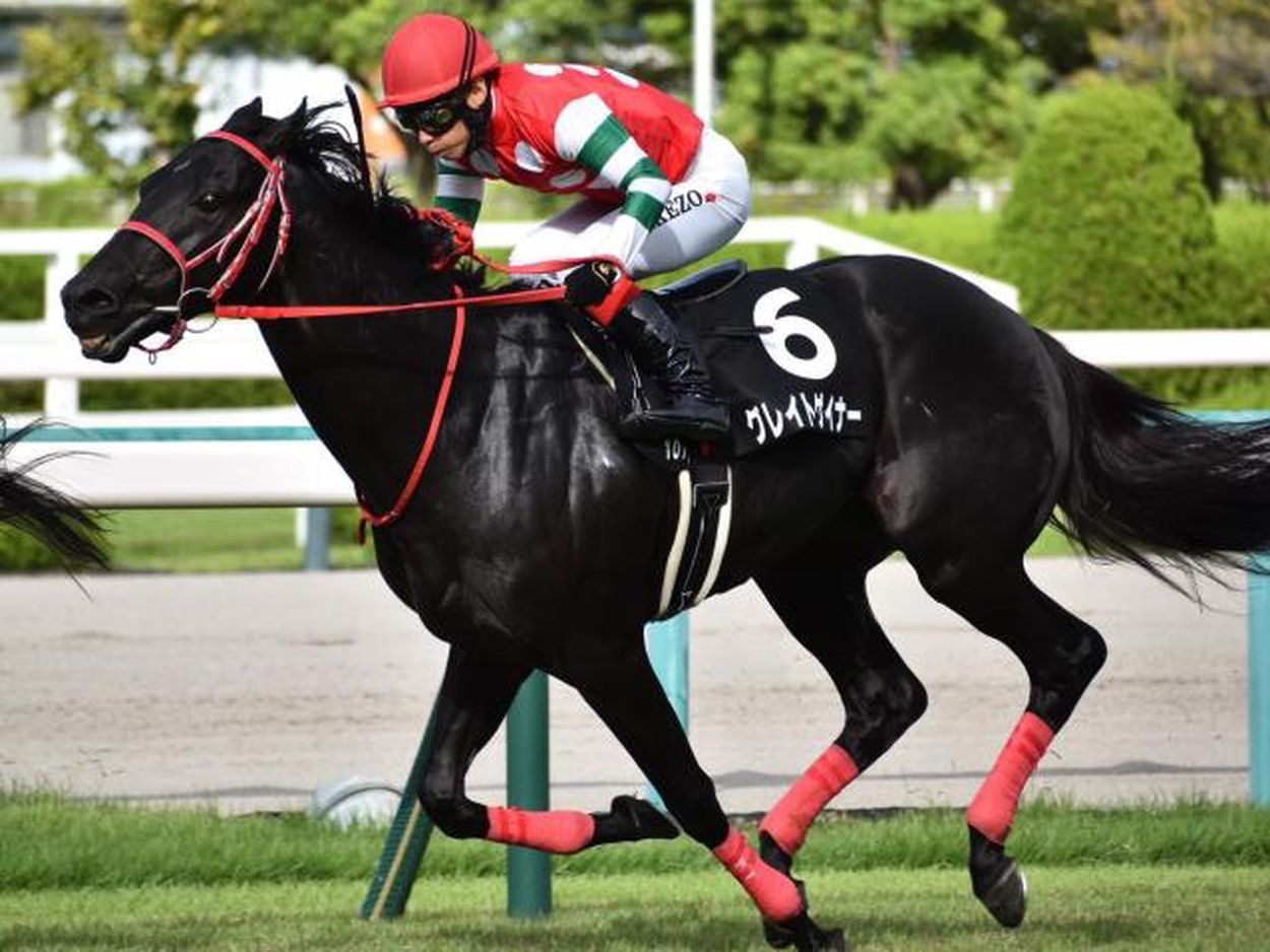 アイビスSD】笹川翼騎手が重賞でJRA初勝利なるか 快足グレイトゲイナーで一発狙う(netkeiba) - goo ニュース