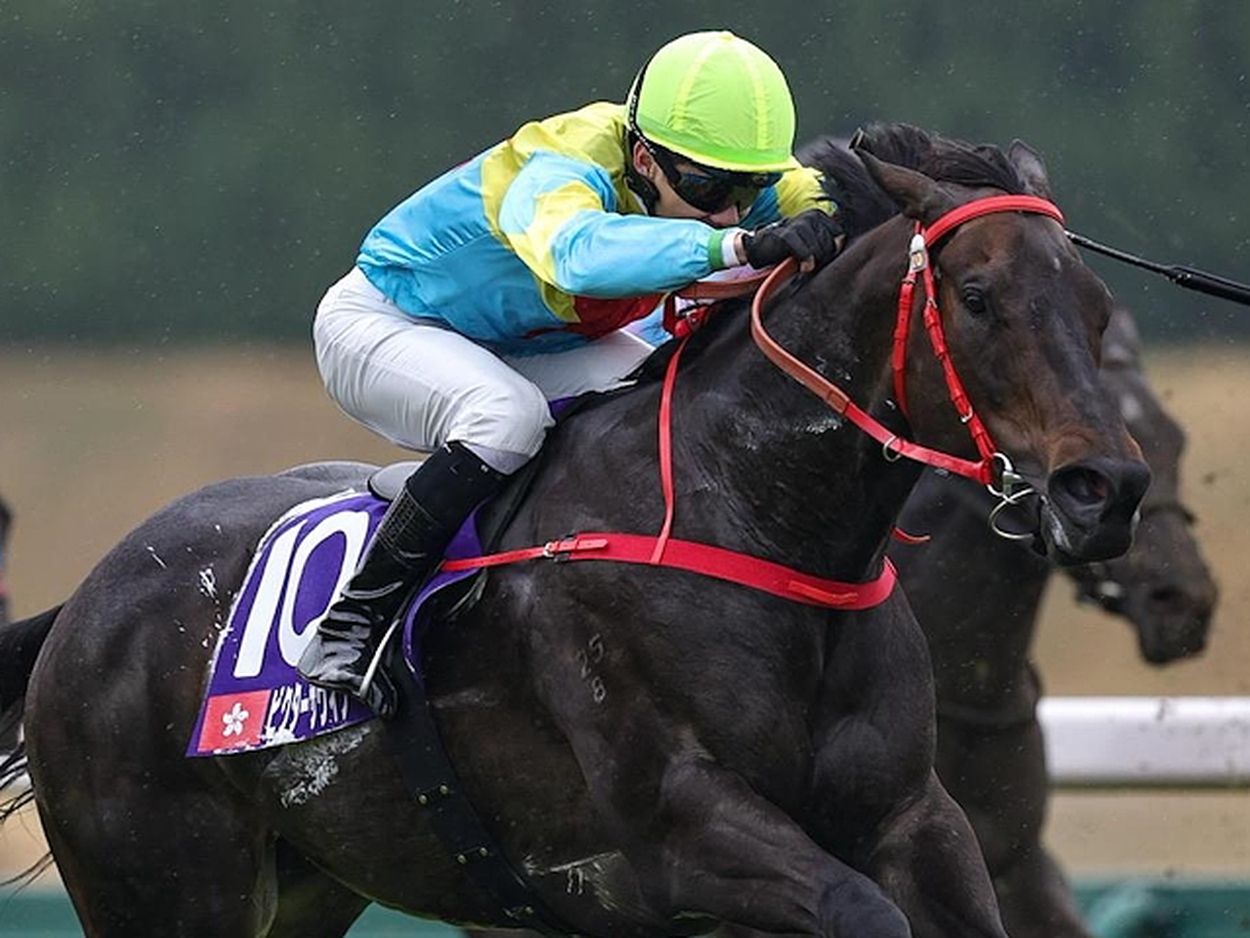 即決現地的中馬券□０６スプリングＳ□メイショウサムソン配当１４５０円 目新しい