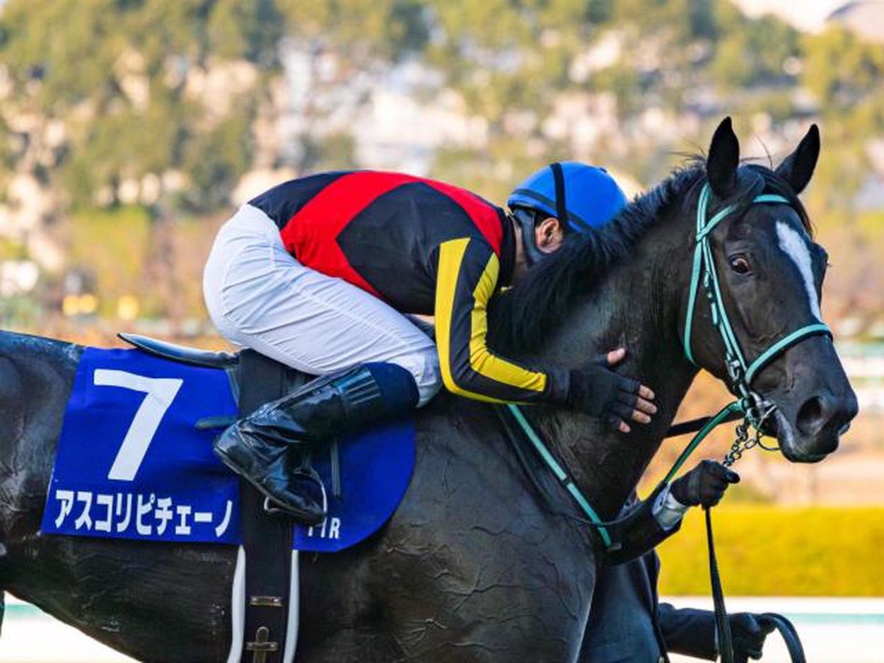 阪神JFの勝ち時計ベスト3 昨年の2歳女王が1位に輝く(netkeiba) - goo ニュース