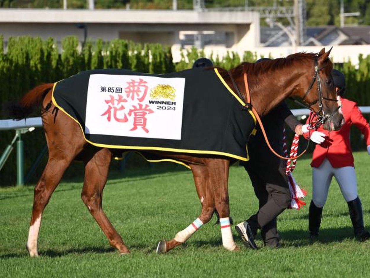 現地購入 有馬記念 気味が悪い アーバンシック ダノンデサイ単 単勝はずれ馬券 売買されたオークション情報 落札价格 【au  payマーケット】の商品情報をアーカイブ公開