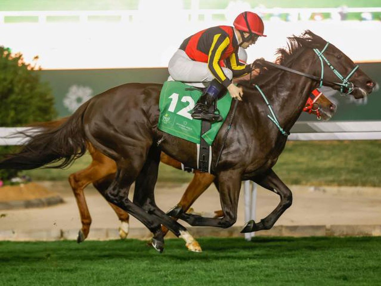 魅力的な価格 早い者勝ち‼️ファイテンテラスオニキス40cm 素晴らしき 健康アクセサリー
