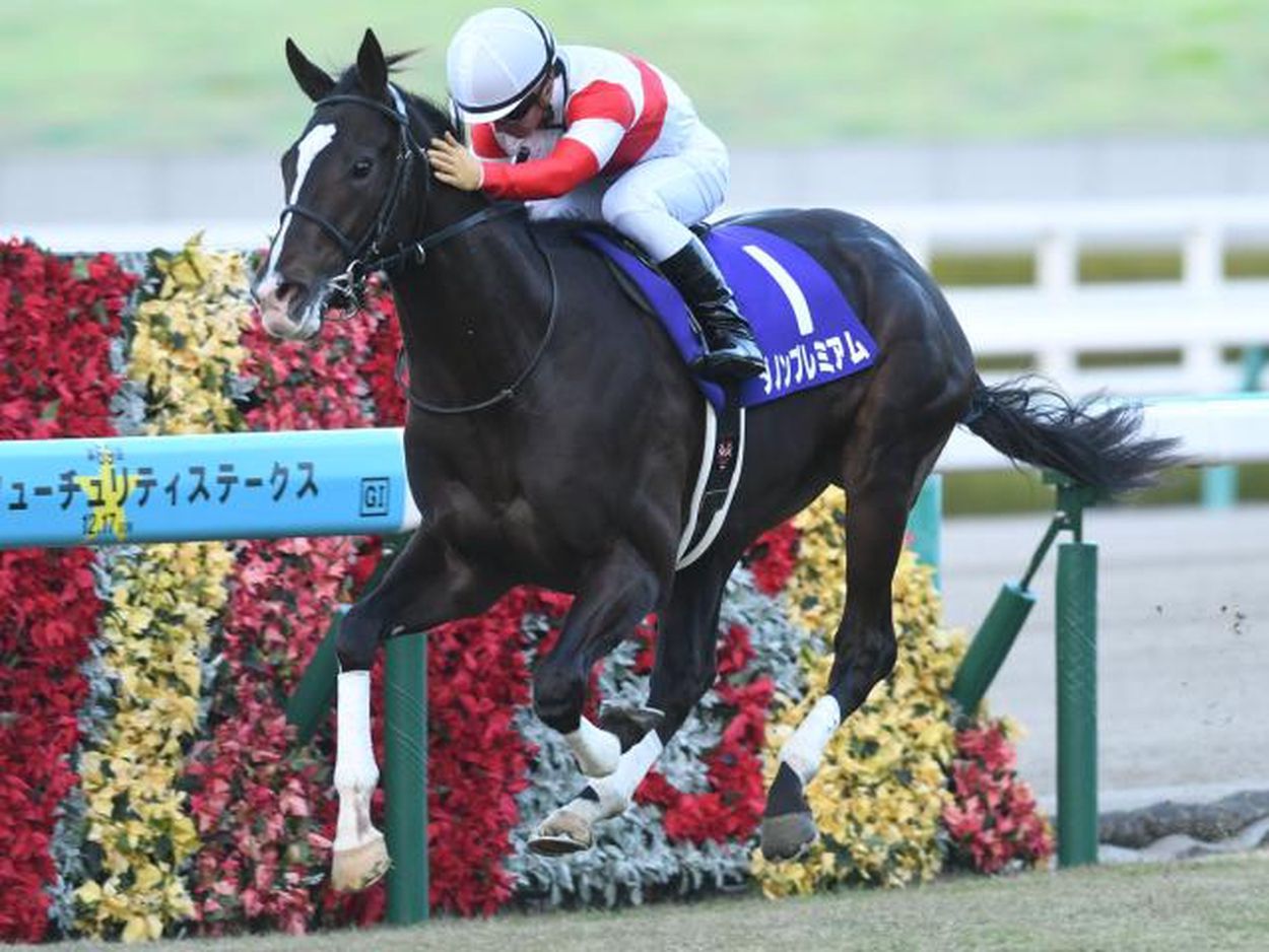 【ネット限定】 25年の新種牡馬たち】17年2歳王者のダノンプレミアム 産駒には父 ゼッケン