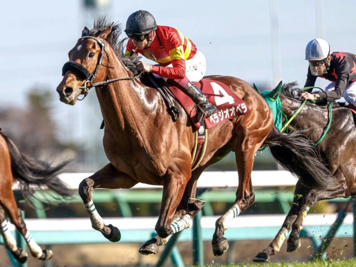 Amazon.co.jp: ベラジオオペラJRA競走馬宝塚記念 スポーツ新聞2
