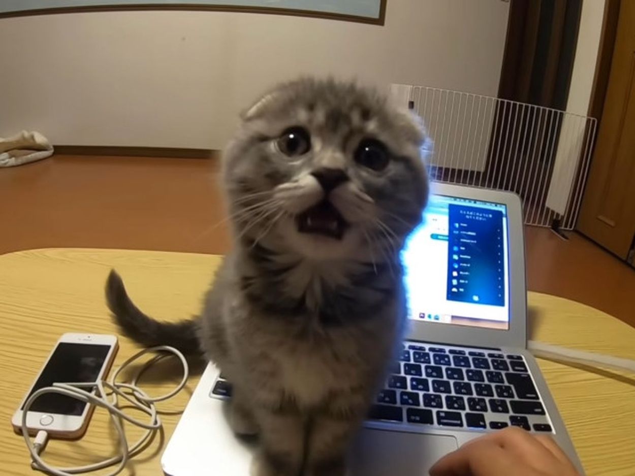遅番だと思っていたが…』実は早番だったときの絶望の朝