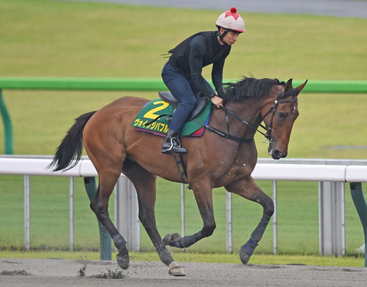 【安田記念・耳より】香港馬ヴォイッジバブルは泰然自若 軽め調整も高い潜在スピード示す