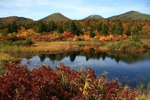 日本の秋「睡蓮沼の紅葉」