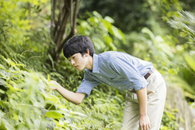 生物学はロイヤルの教養であり「帝王学」だった　悠仁さまと昭和天皇　少年時代のセミやトンボ、チョウの「昆虫標本」に共通点