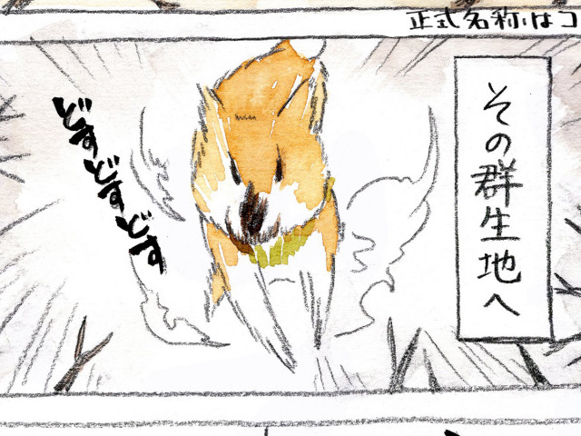 犬様知ってるか」 飼い主の苦労に「分かります」「宿命です