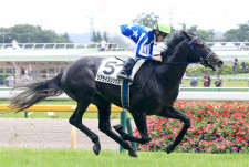 トウカイテイオー大外20番枠からの圧勝 単枠指定最後の年