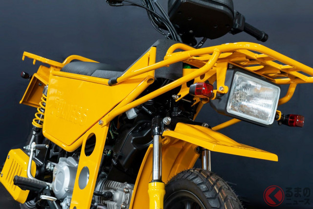 公道走行可 電動アシスト自転車 折りたたみ ファットバイク 20