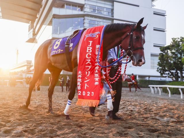 今日の注目ポイント】門別競馬×佐賀競馬 北から南まで日本縦断の「JBC」(netkeiba) - goo ニュース