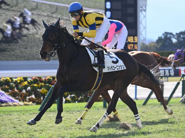 6匹の種牡馬が彫刻された競馬装飾 花瓶 彫像/ JRA 日本競馬協会 牧場 産駒 サラブレッド 十勝 日高（輸入品 : 0n0001 :  浪漫堂ショップ - 通販 - Yahoo!ショッピング