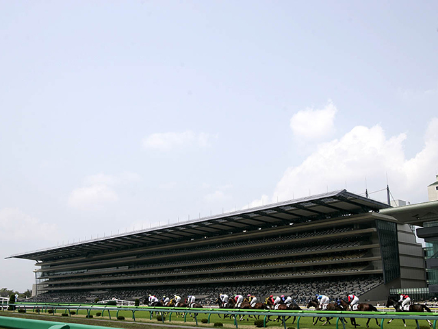 パラダイスS結果】単勝オッズ207.2倍、シンガリ人気の9歳馬