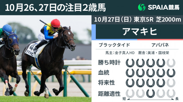 Amazon.co.jp: 品 JRA 5冠馬アパパネ special edition : おもちゃ