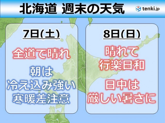 梅雨に甘く香る クチナシの花はクチナシ色ではないって ご存じでしたか Tenki Jp Goo ニュース